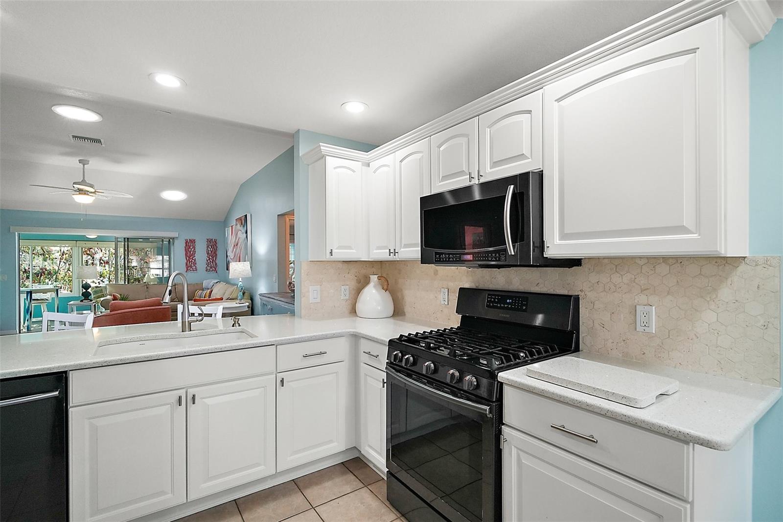 1061 WOODRUFF ST, THE VILLAGES, FL, 32162