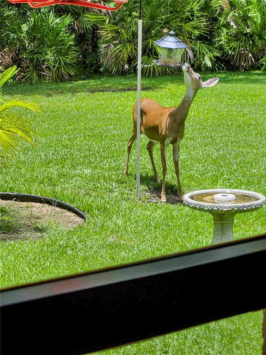 12024 STONE CROSSING CIR, TAMPA, FL, 33635