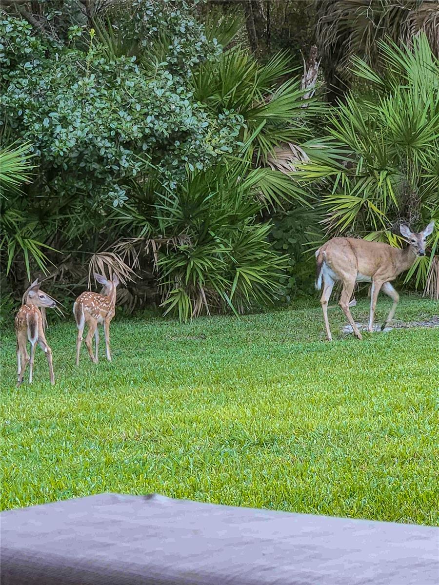 12024 STONE CROSSING CIR, TAMPA, FL, 33635