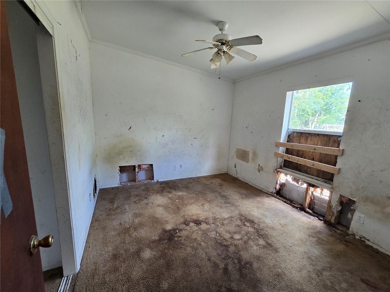 265 CORBETT RD, LITHIA, FL, 33547