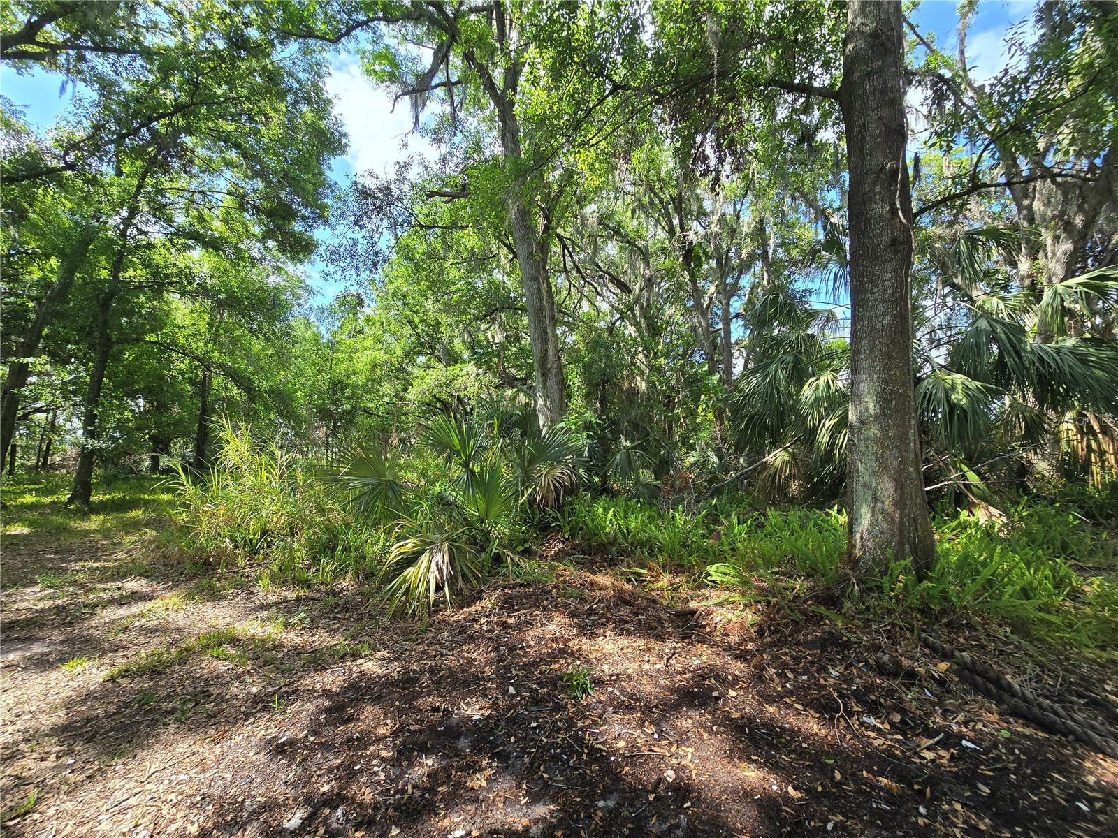 265 CORBETT RD, LITHIA, FL, 33547