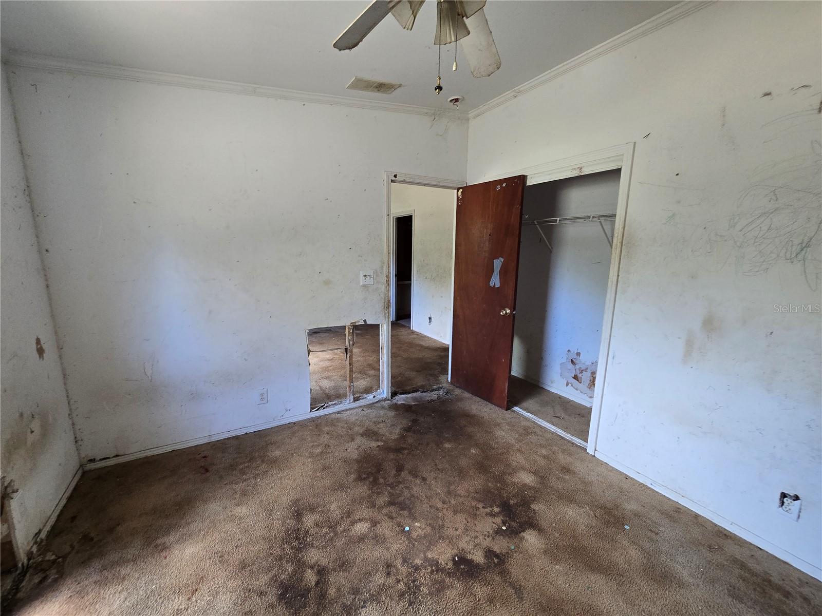 265 CORBETT RD, LITHIA, FL, 33547