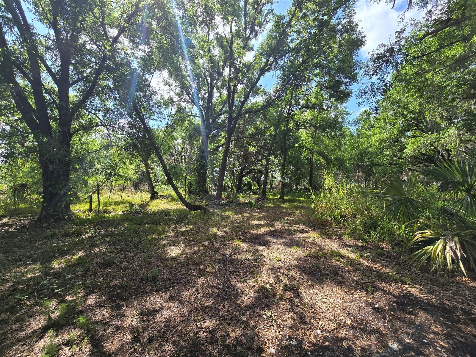 265 CORBETT RD, LITHIA, FL, 33547