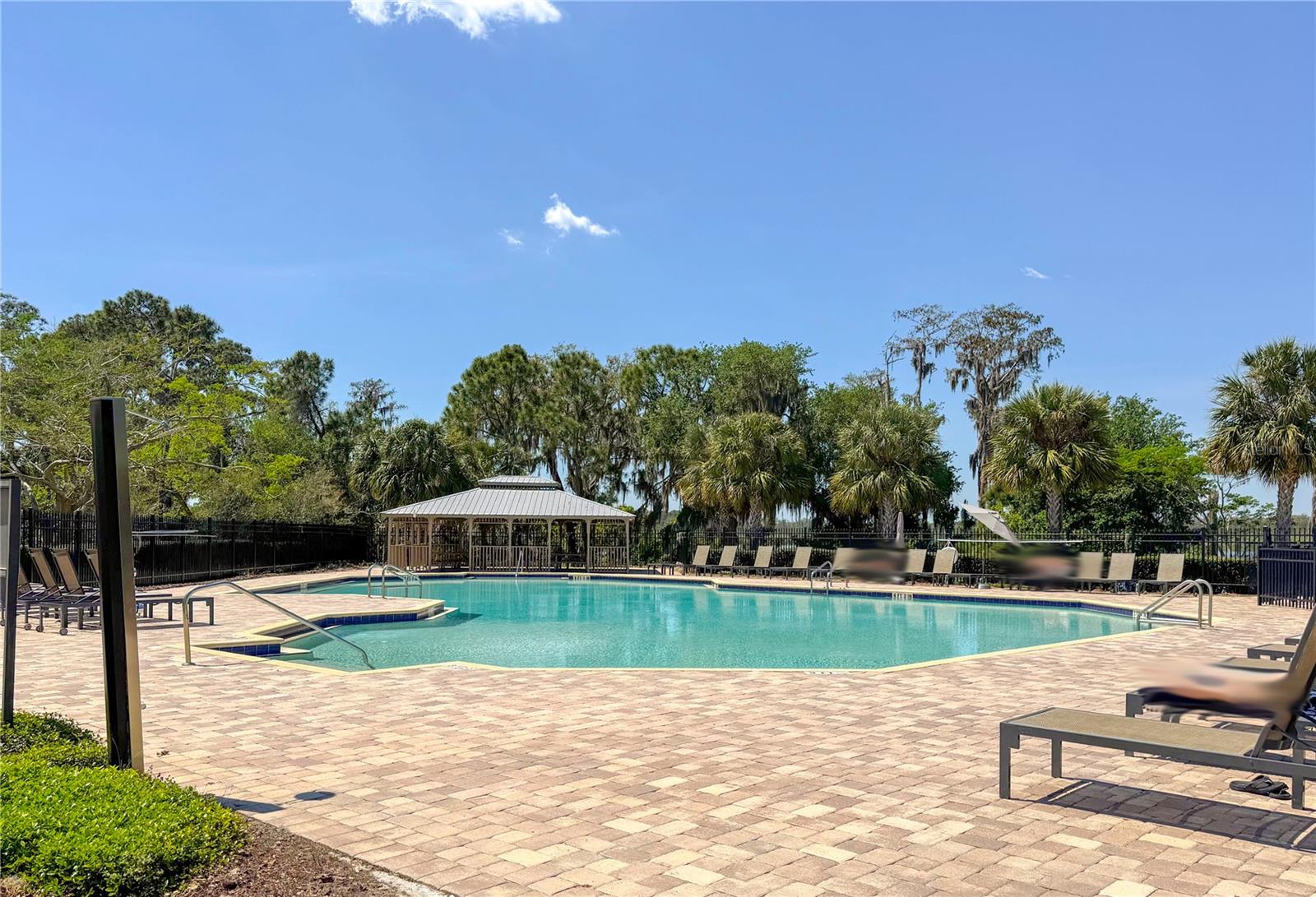 11822 SILVERLAKE PARK DR, WINDERMERE, FL, 34786