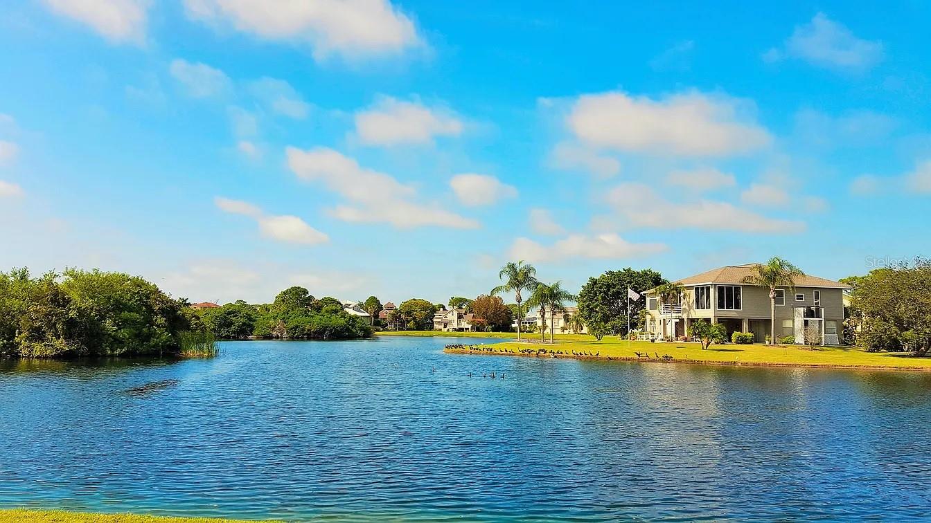 N POINTE ALEXIS DR, TARPON SPRINGS, FL, 34689