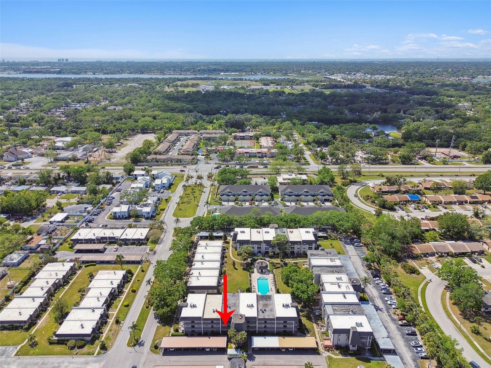 8703 BARDMOOR BLVD #203, SEMINOLE, FL, 33777