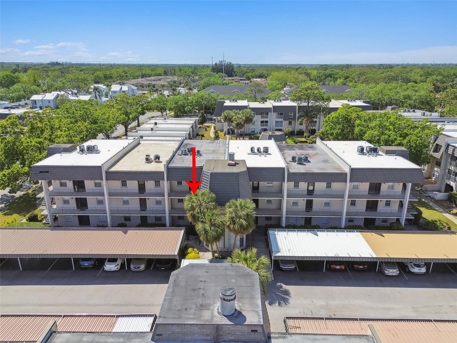 8703 BARDMOOR BLVD #203, SEMINOLE, FL, 33777