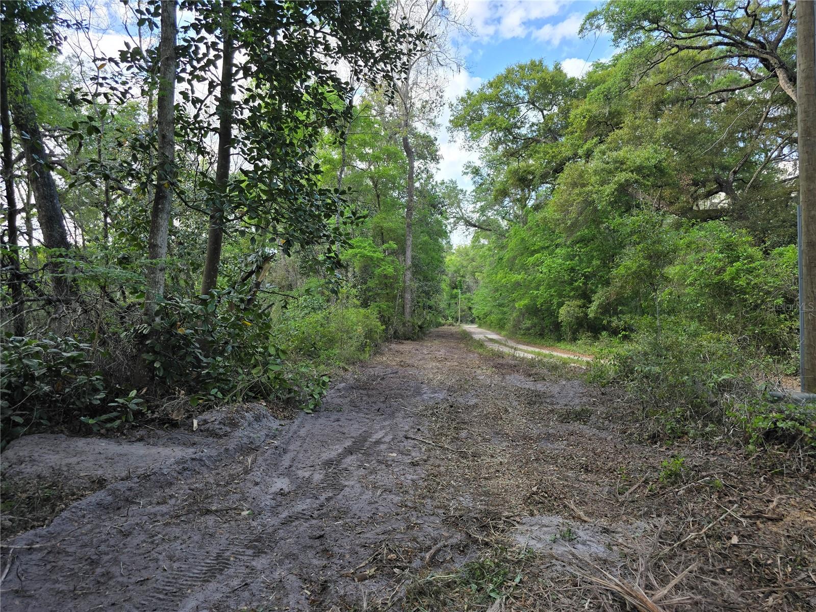 NW 7TH PL, OCALA, FL, 34482