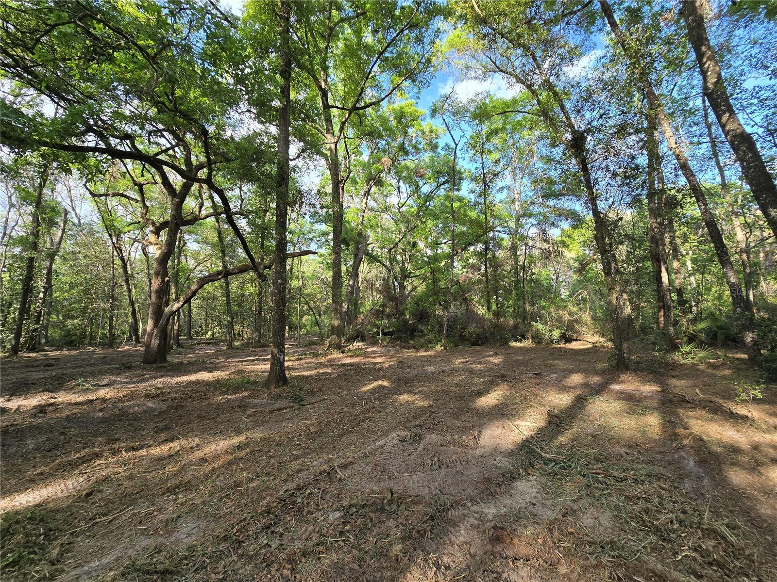 NW 7TH PL, OCALA, FL, 34482