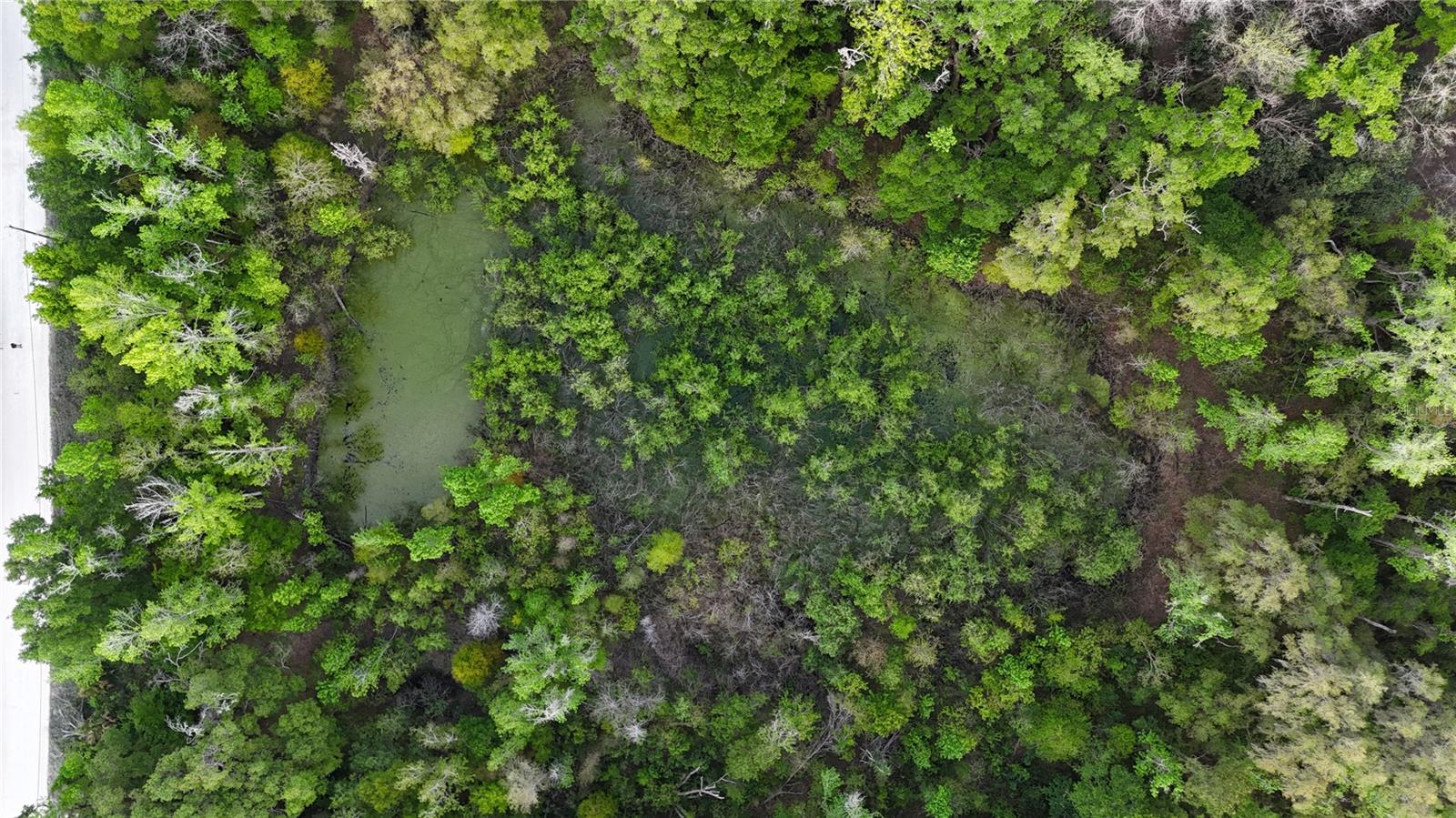 NW 7TH PL, OCALA, FL, 34482