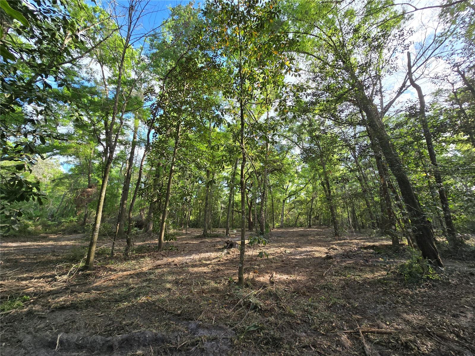 NW 7TH PL, OCALA, FL, 34482