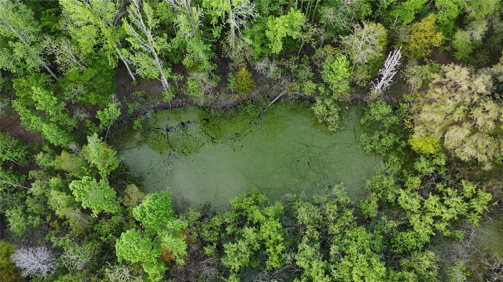 NW 7TH PL, OCALA, FL, 34482