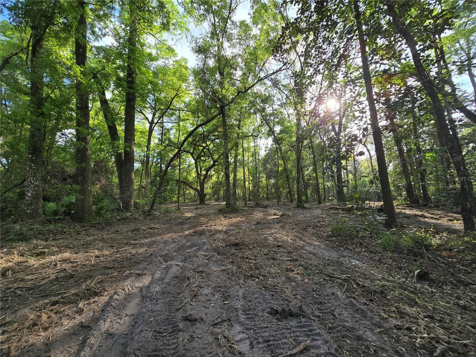 NW 7TH PL, OCALA, FL, 34482