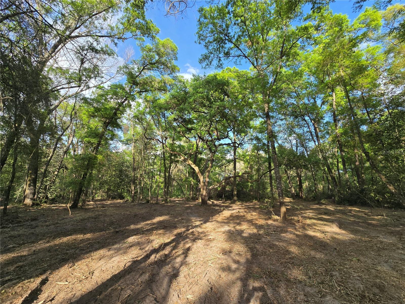 NW 7TH PL, OCALA, FL, 34482