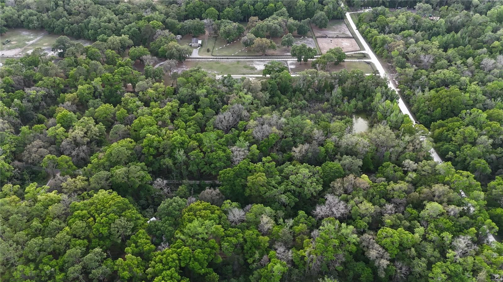 NW 7TH PL, OCALA, FL, 34482