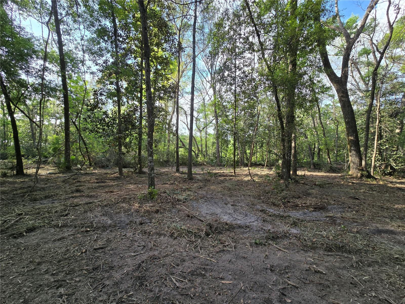 NW 7TH PL, OCALA, FL, 34482