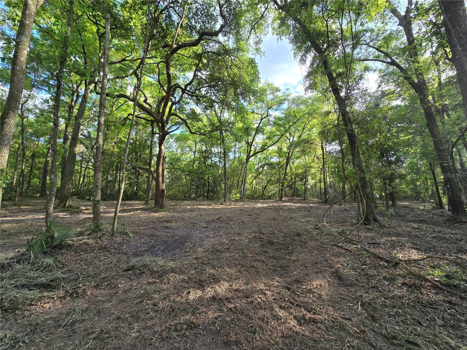 NW 7TH PL, OCALA, FL, 34482