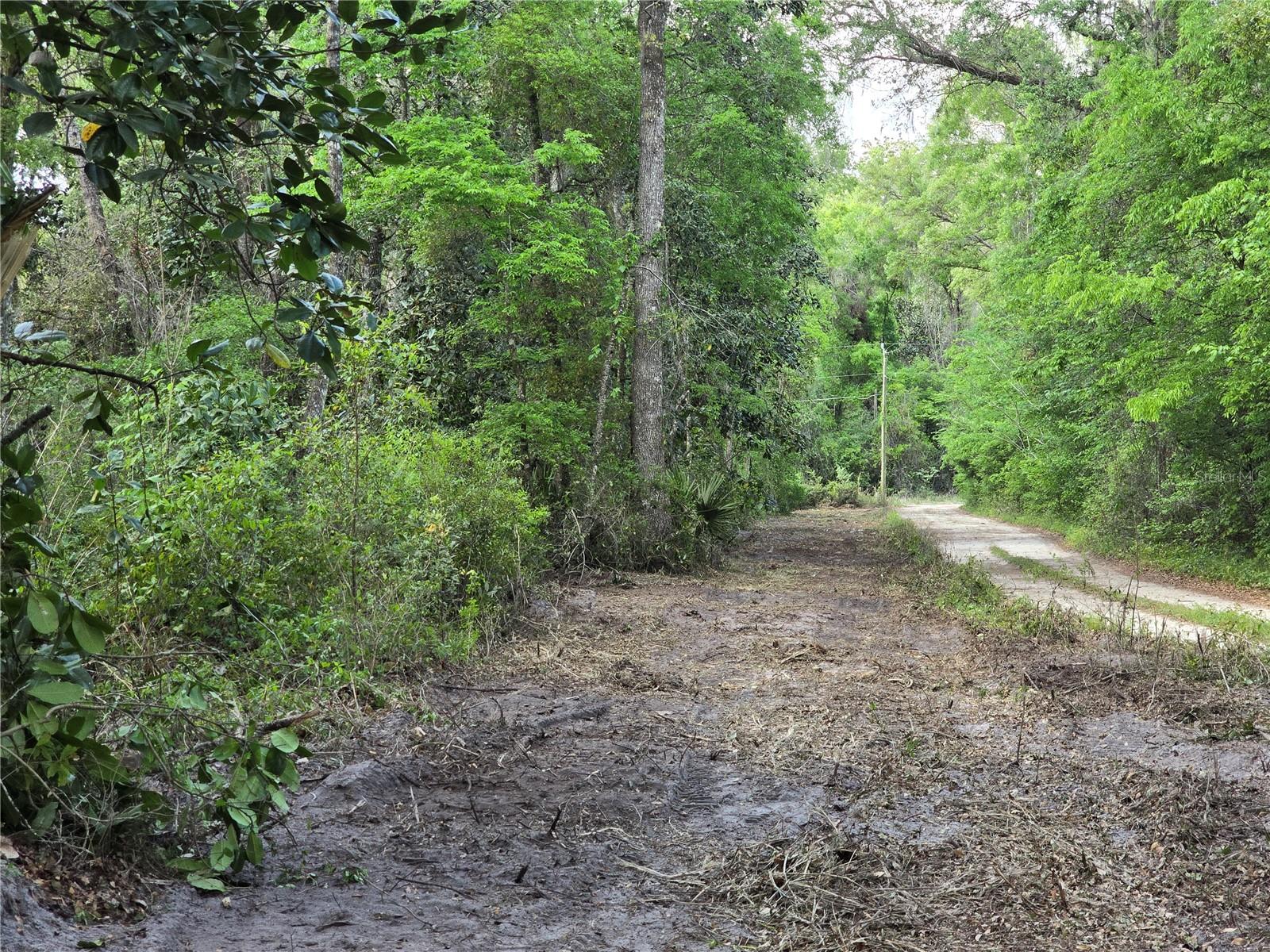 NW 7TH PL, OCALA, FL, 34482