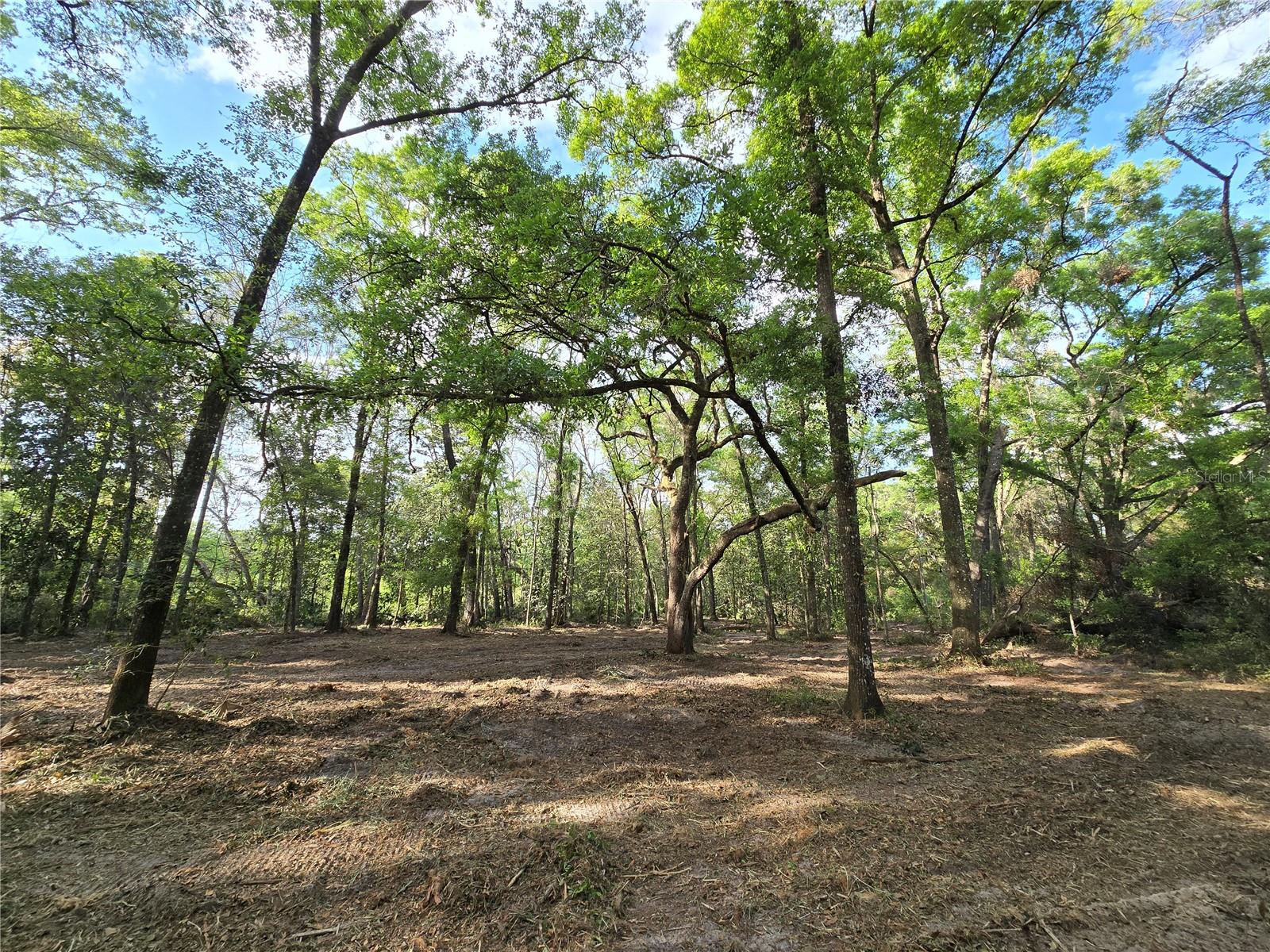 NW 7TH PL, OCALA, FL, 34482