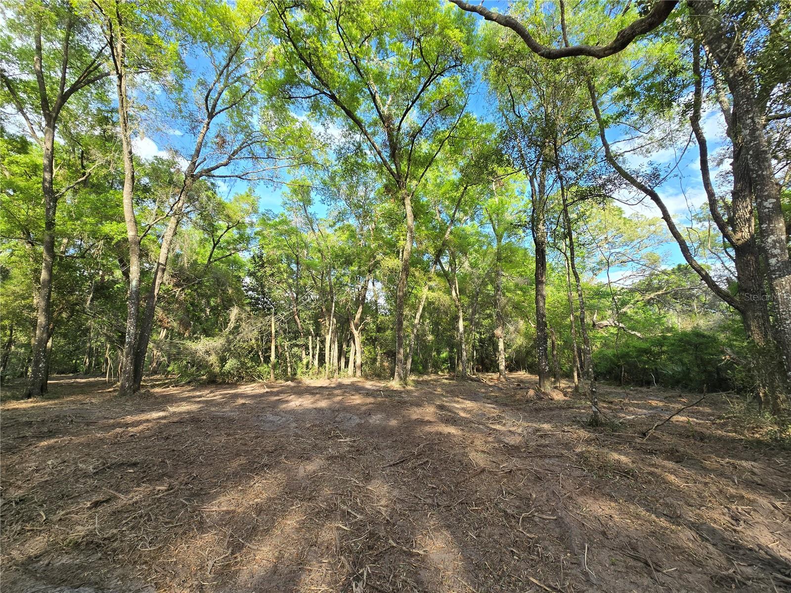 NW 7TH PL, OCALA, FL, 34482