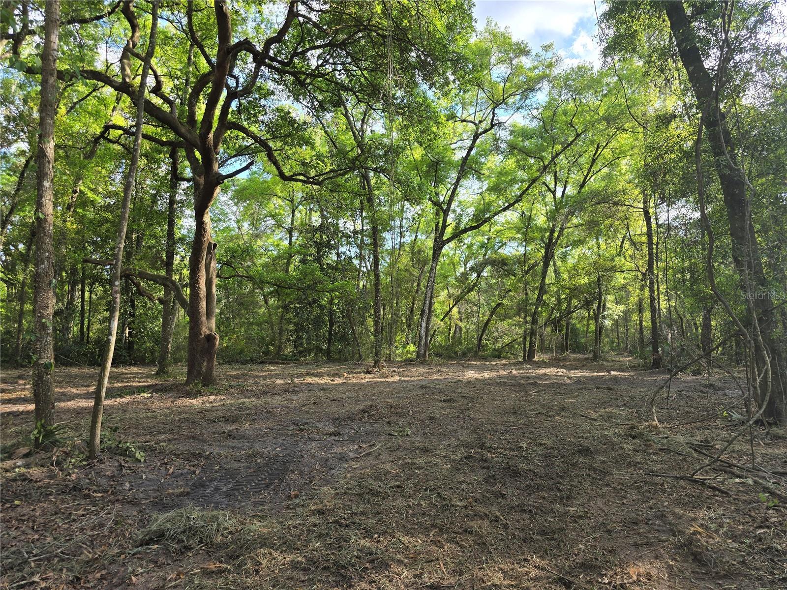 NW 7TH PL, OCALA, FL, 34482