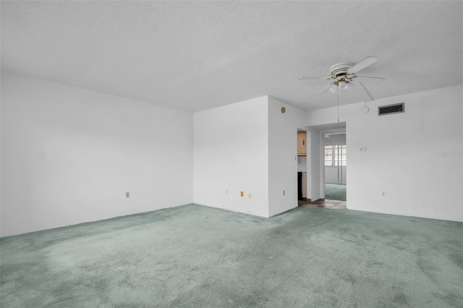 7321 CENTRAL AVE #203, ST PETERSBURG, FL, 33710