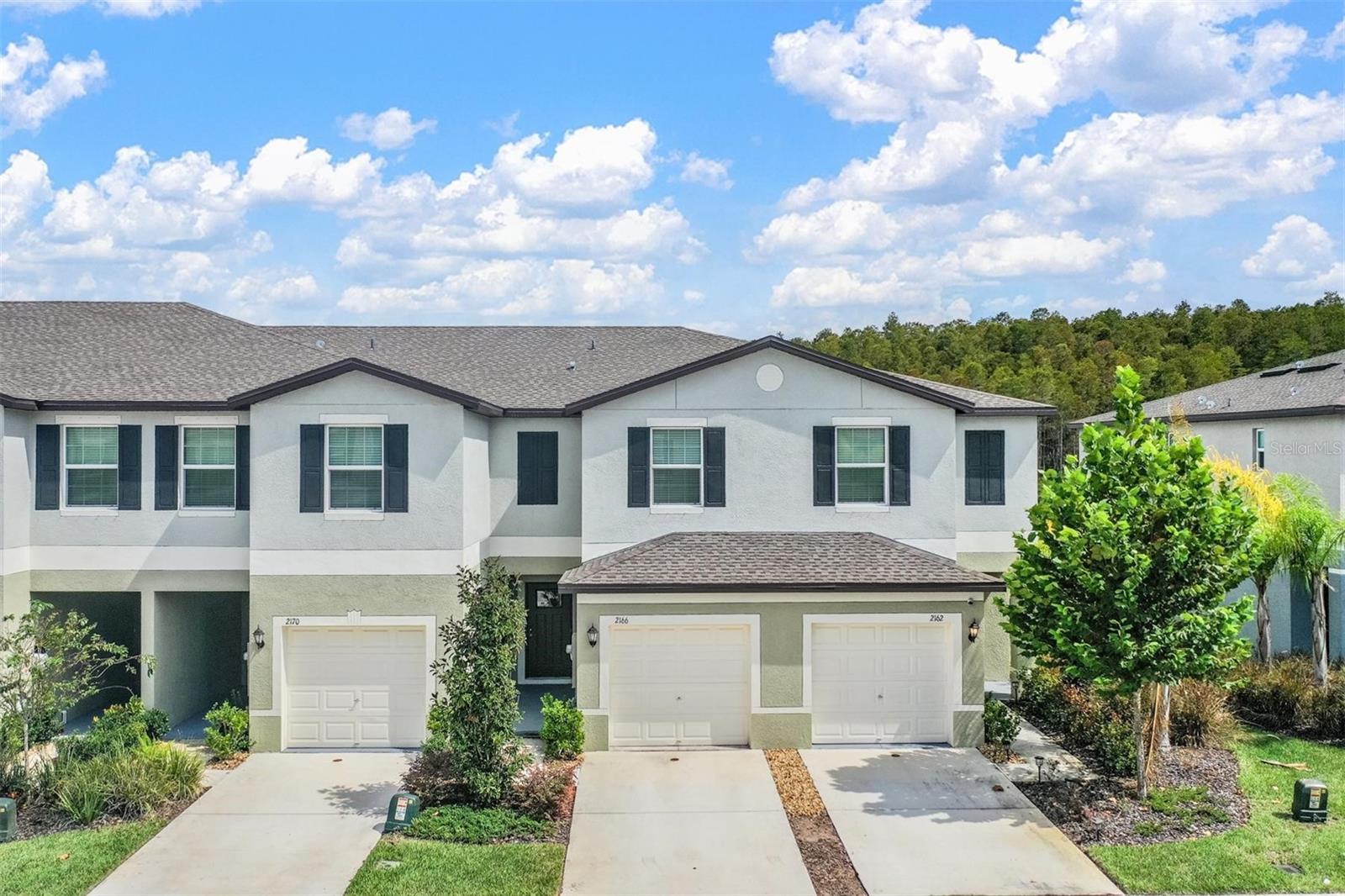 2166 GREAT SAPPHIRE LN, LUTZ, FL, 33558