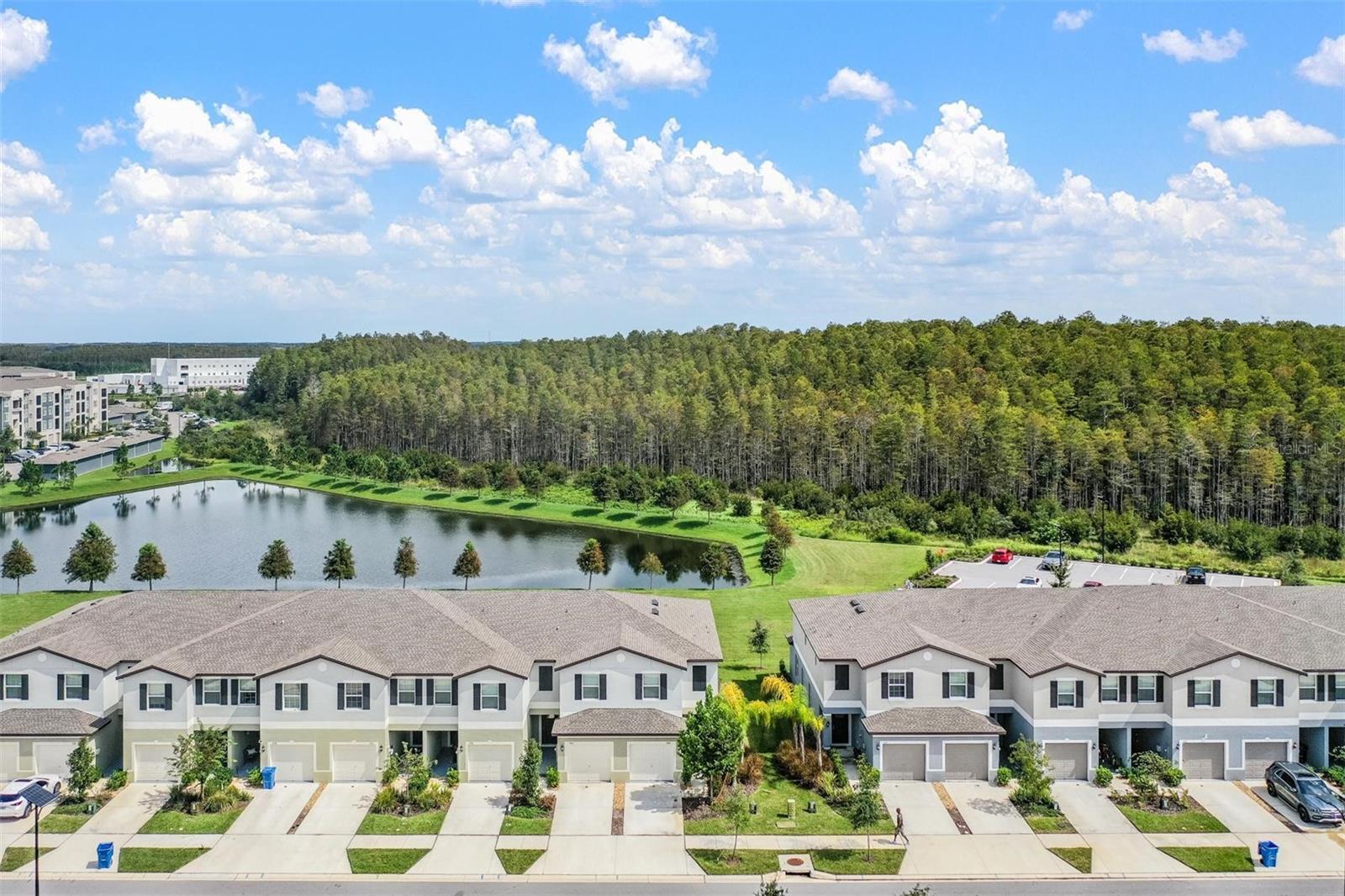 2166 GREAT SAPPHIRE LN, LUTZ, FL, 33558