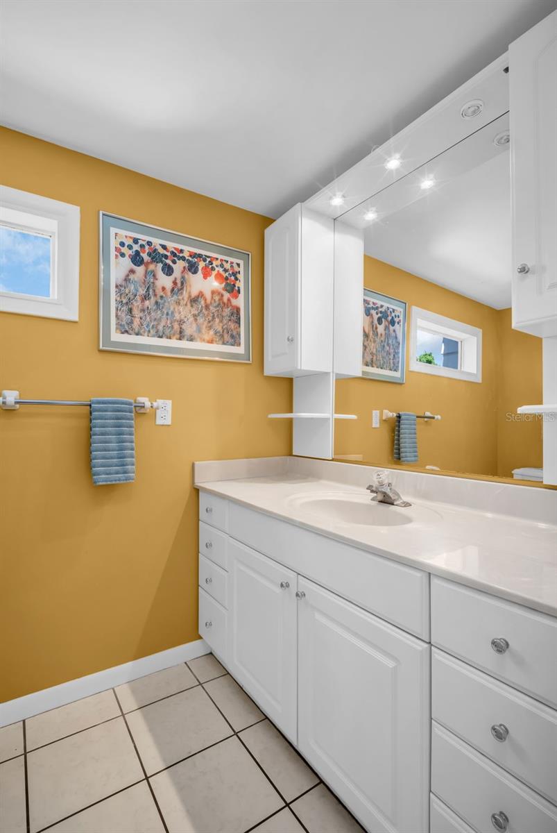 1226 SERPENTINE DR S, ST PETERSBURG, FL, 33705