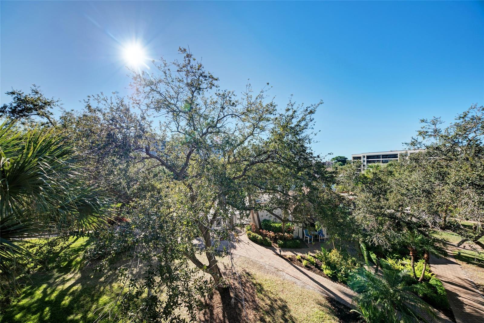 1500 COVE II PL #524, SARASOTA, FL, 34242