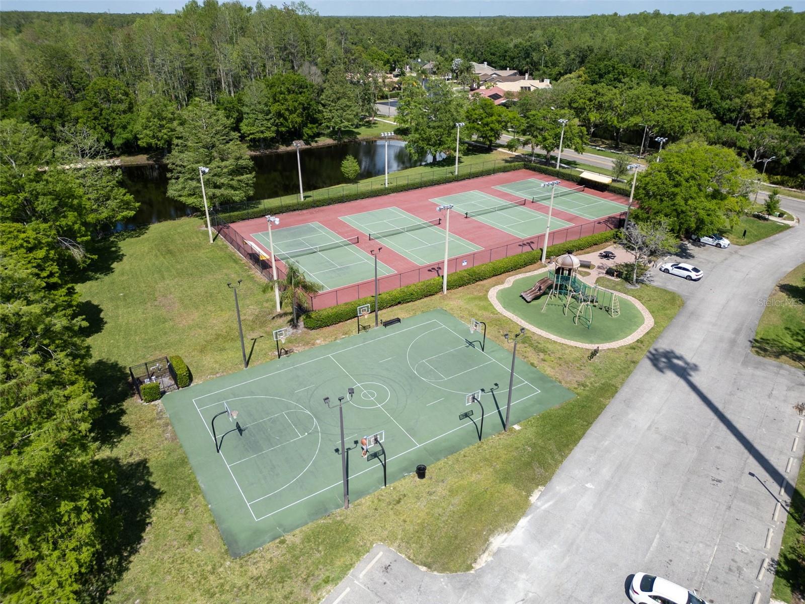 3885 TIMBER RIDGE CT, PALM HARBOR, FL, 34685