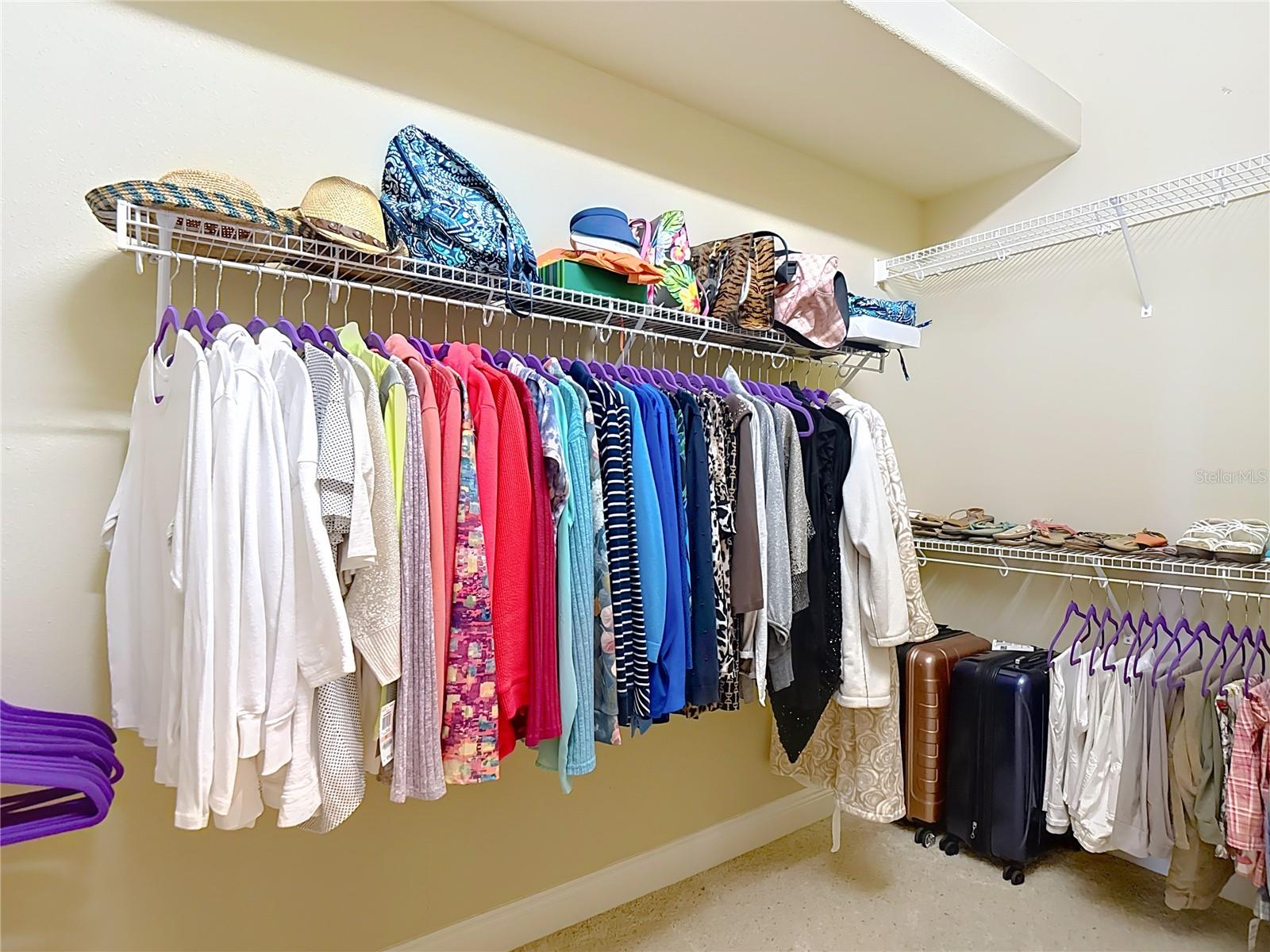 20104 OAK ALLEY DR, TAMPA, FL, 33647