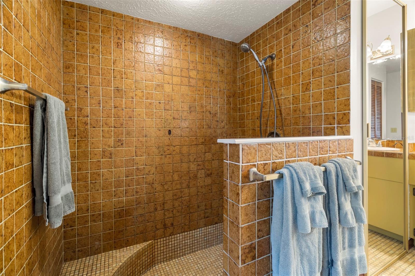 6718 WATSON RD, RIVERVIEW, FL, 33578