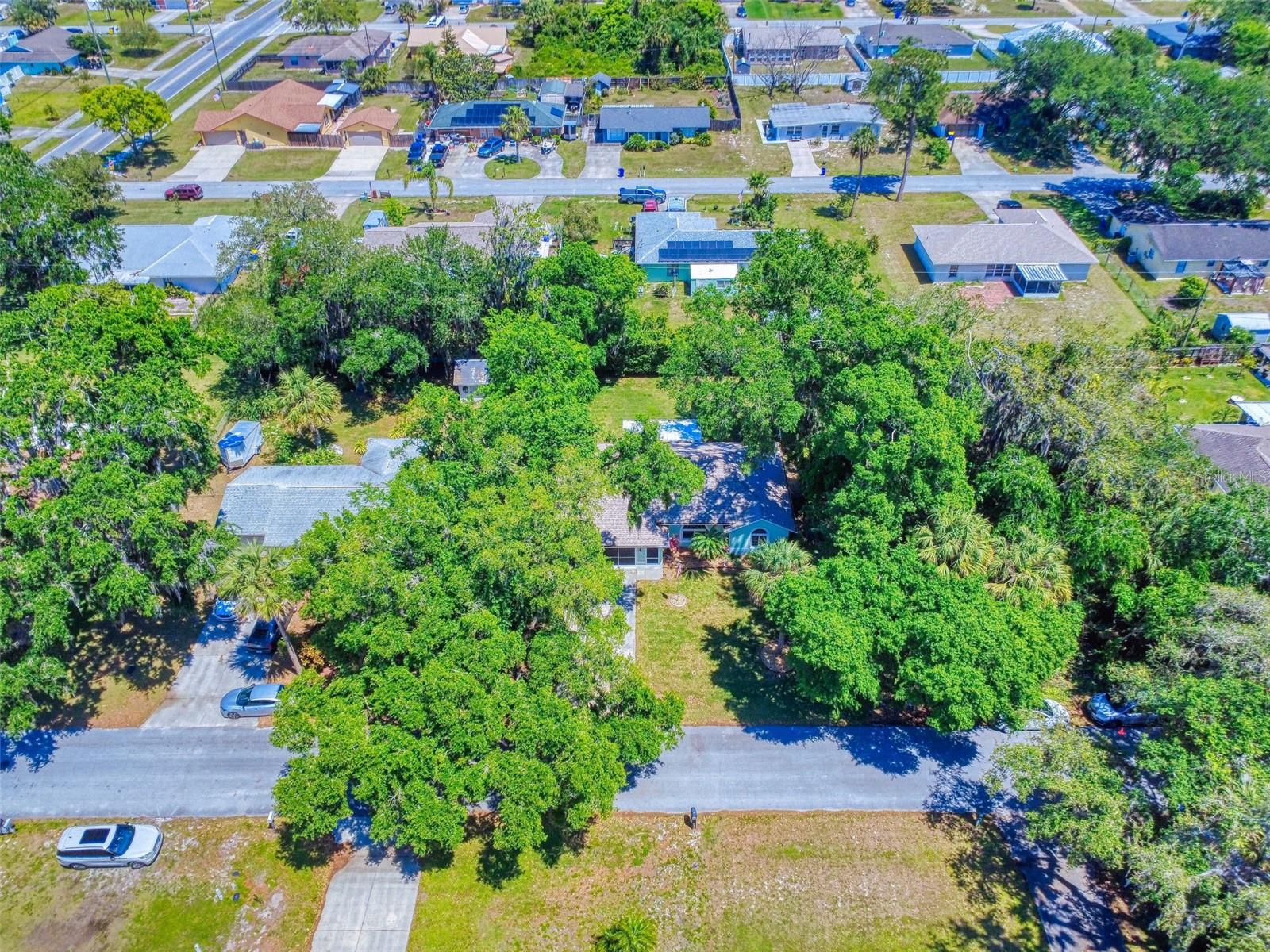 3013 LIME TREE DR, EDGEWATER, FL, 32141