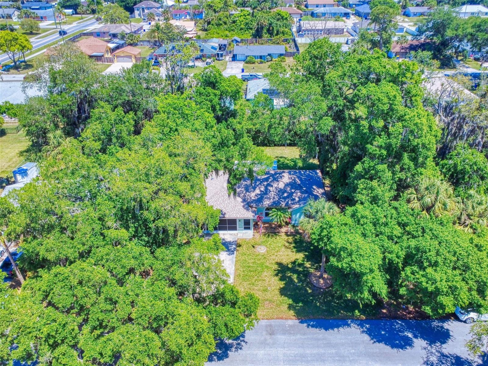 3013 LIME TREE DR, EDGEWATER, FL, 32141