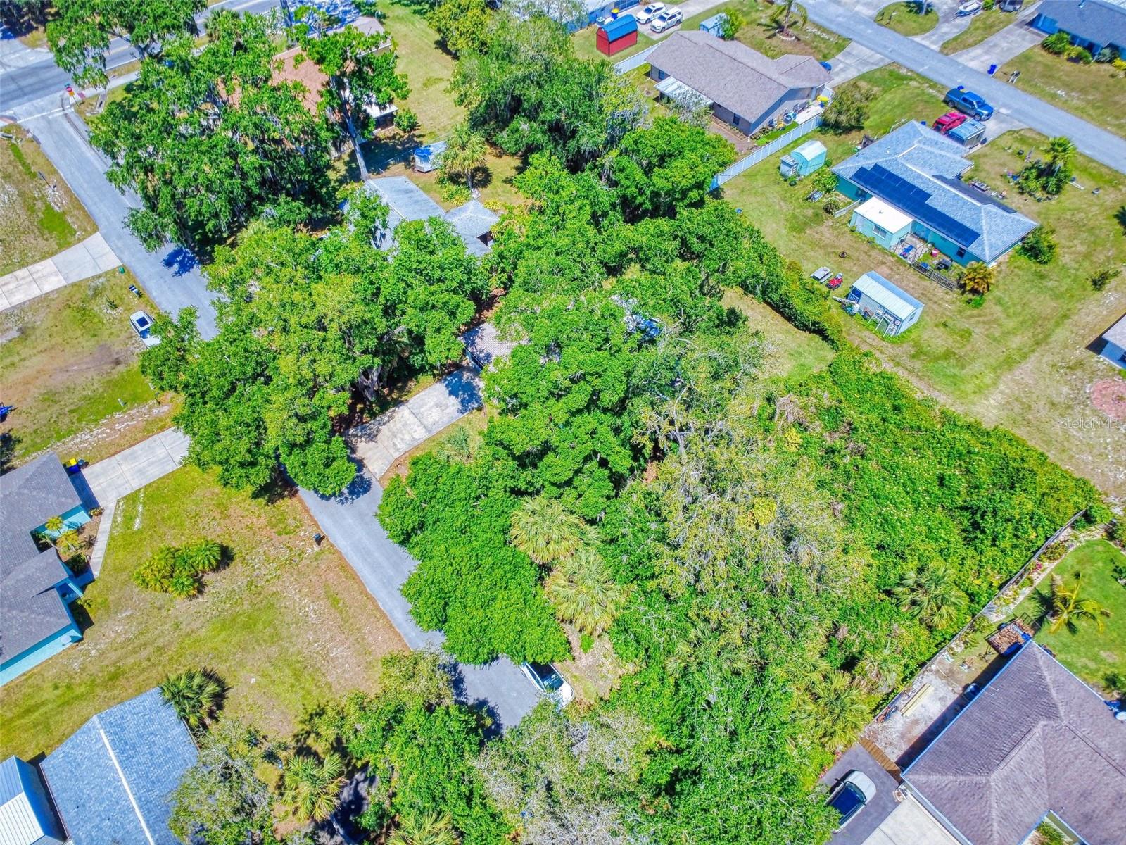 3013 LIME TREE DR, EDGEWATER, FL, 32141