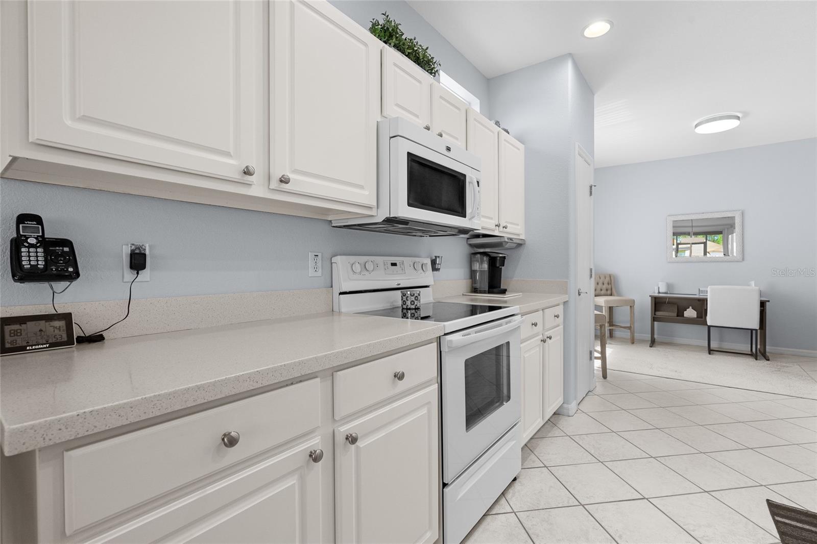 12567 SE 90TH TER, SUMMERFIELD, FL, 34491