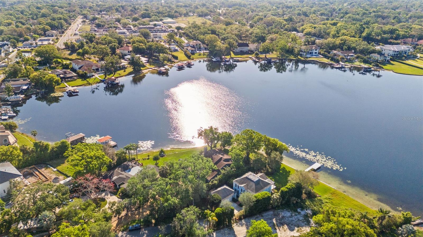 12107 LAKE CARROLL DR, TAMPA, FL, 33618