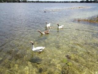 12107 LAKE CARROLL DR, TAMPA, FL, 33618