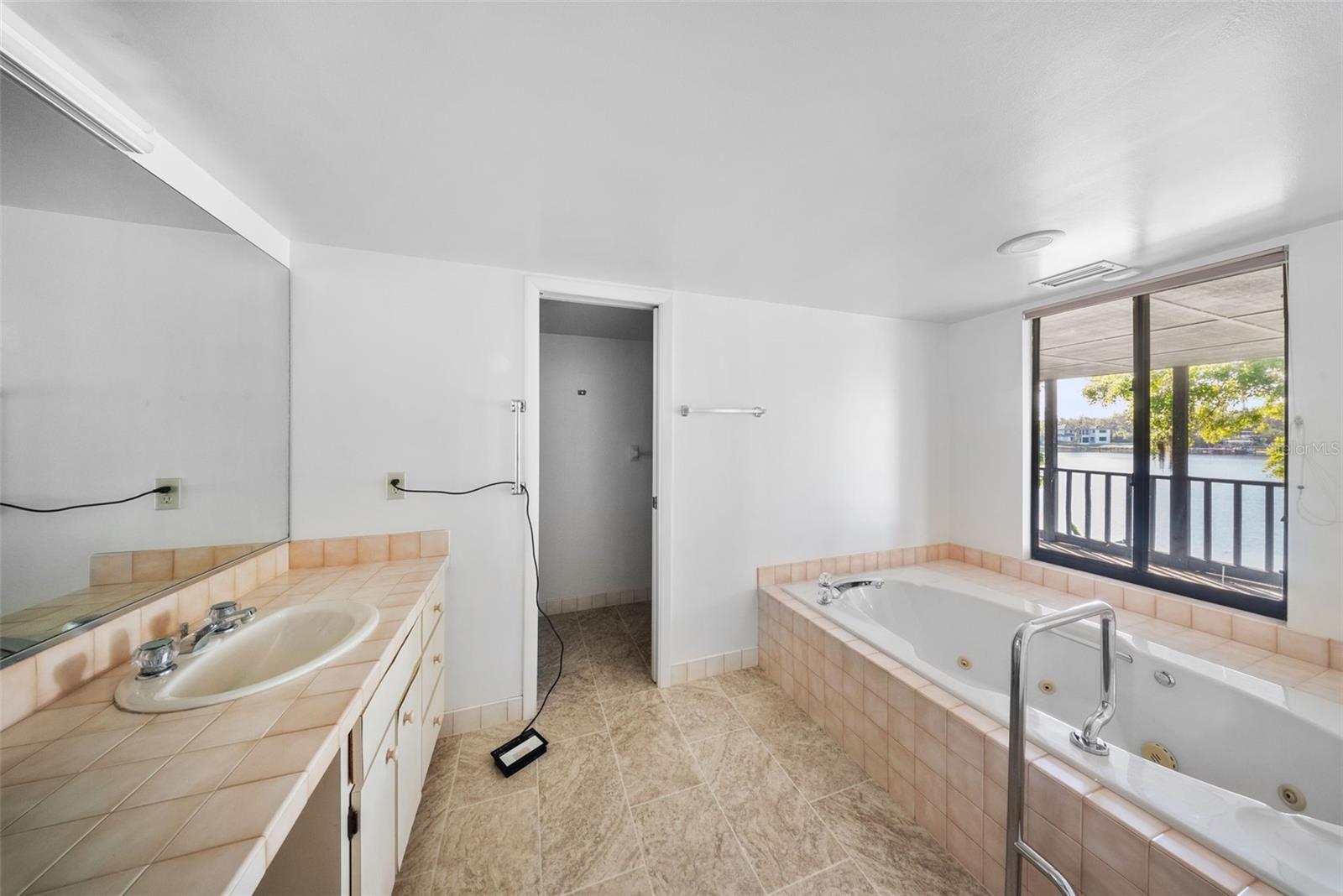 12107 LAKE CARROLL DR, TAMPA, FL, 33618