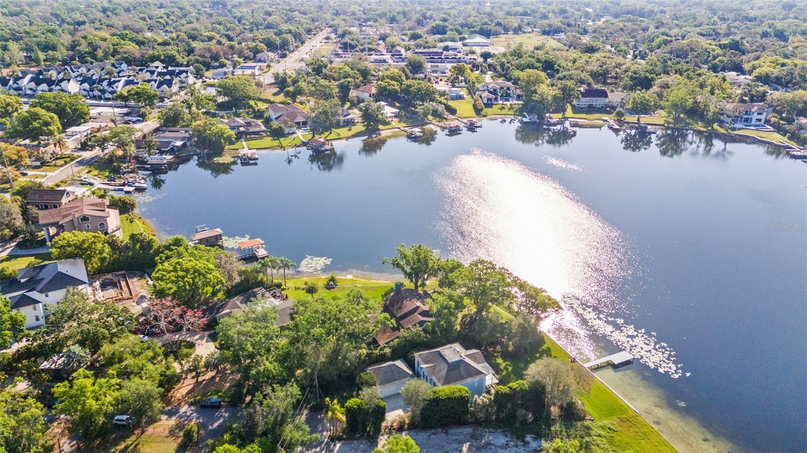 12107 LAKE CARROLL DR, TAMPA, FL, 33618