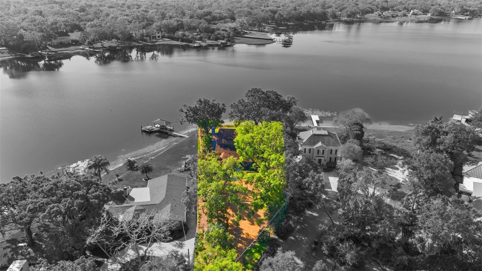 12107 LAKE CARROLL DR, TAMPA, FL, 33618