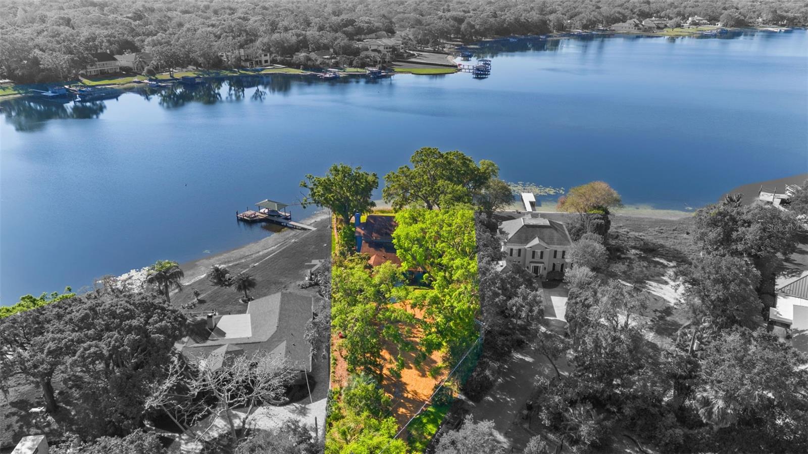 12107 LAKE CARROLL DR, TAMPA, FL, 33618