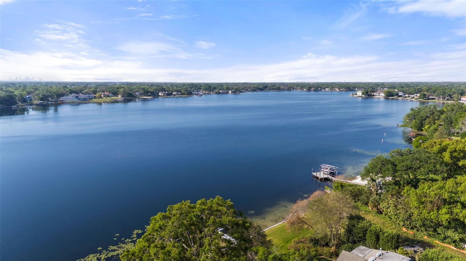 12107 LAKE CARROLL DR, TAMPA, FL, 33618