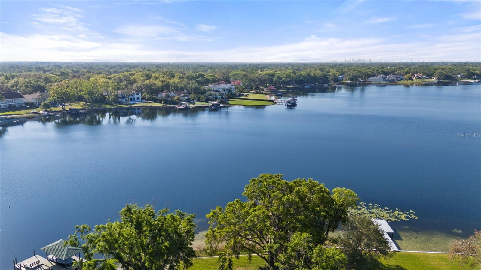 12107 LAKE CARROLL DR, TAMPA, FL, 33618