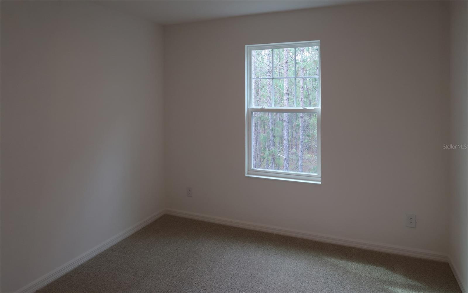 224 GLASS ONION DR, GROVELAND, FL, 34737