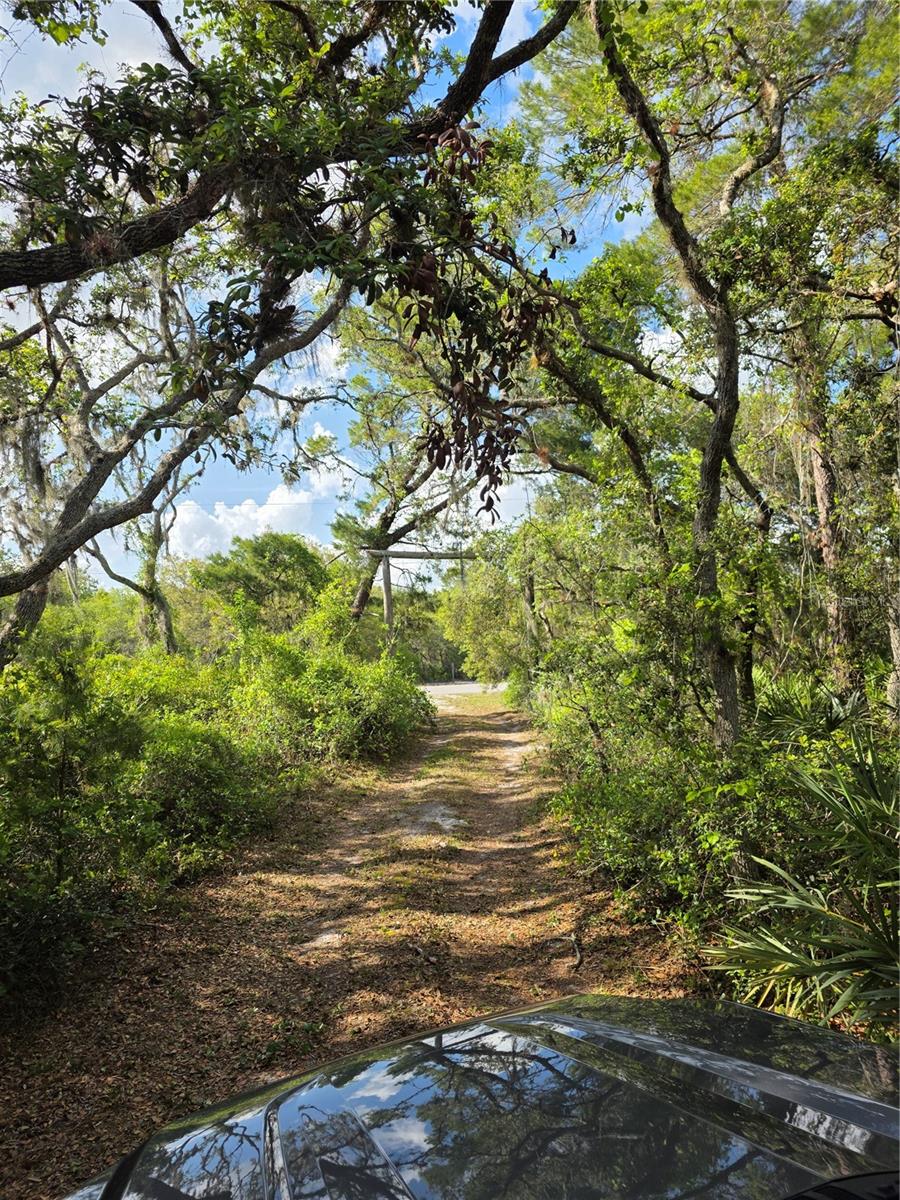 1110 NE 342ND TRL, OKEECHOBEE, FL, 34972