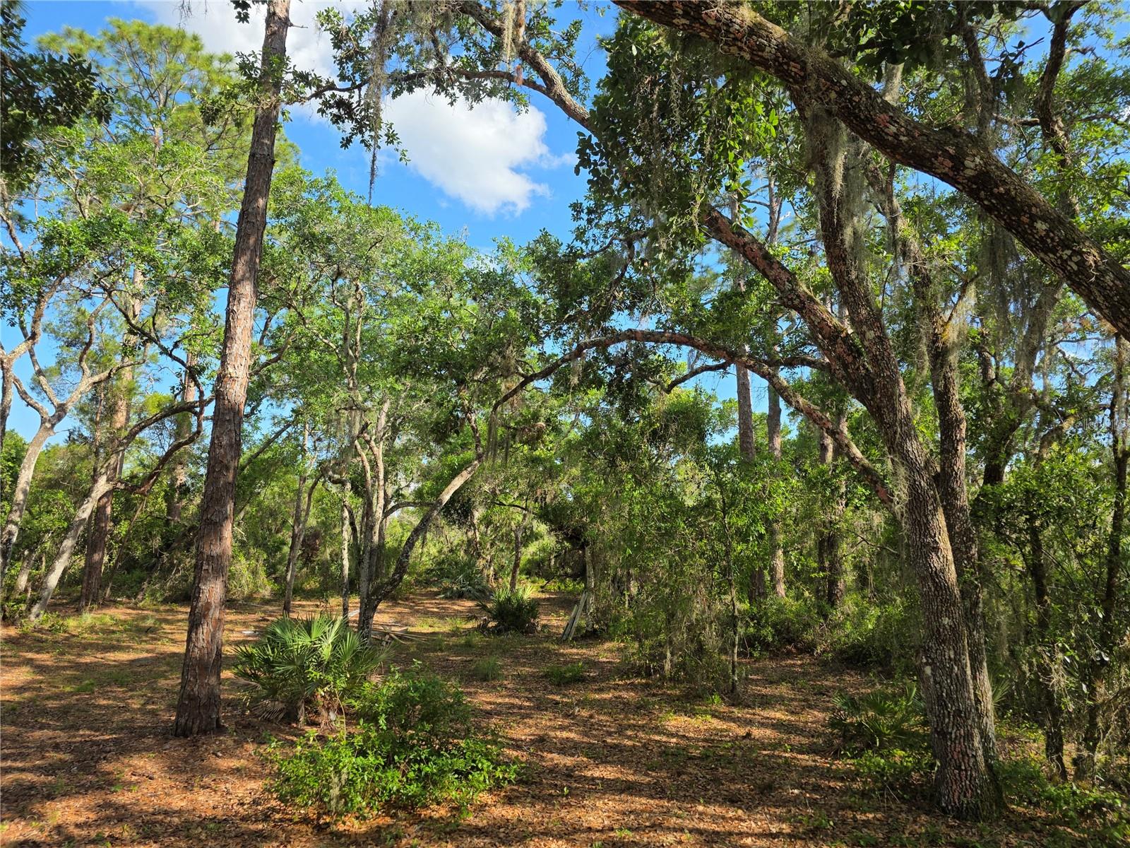 1110 NE 342ND TRL, OKEECHOBEE, FL, 34972