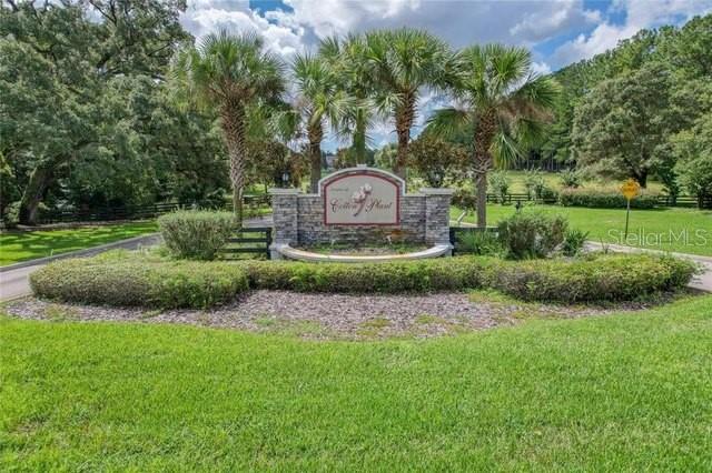 015 SW 144TH COURT ROAD, OCALA, FL, 34481