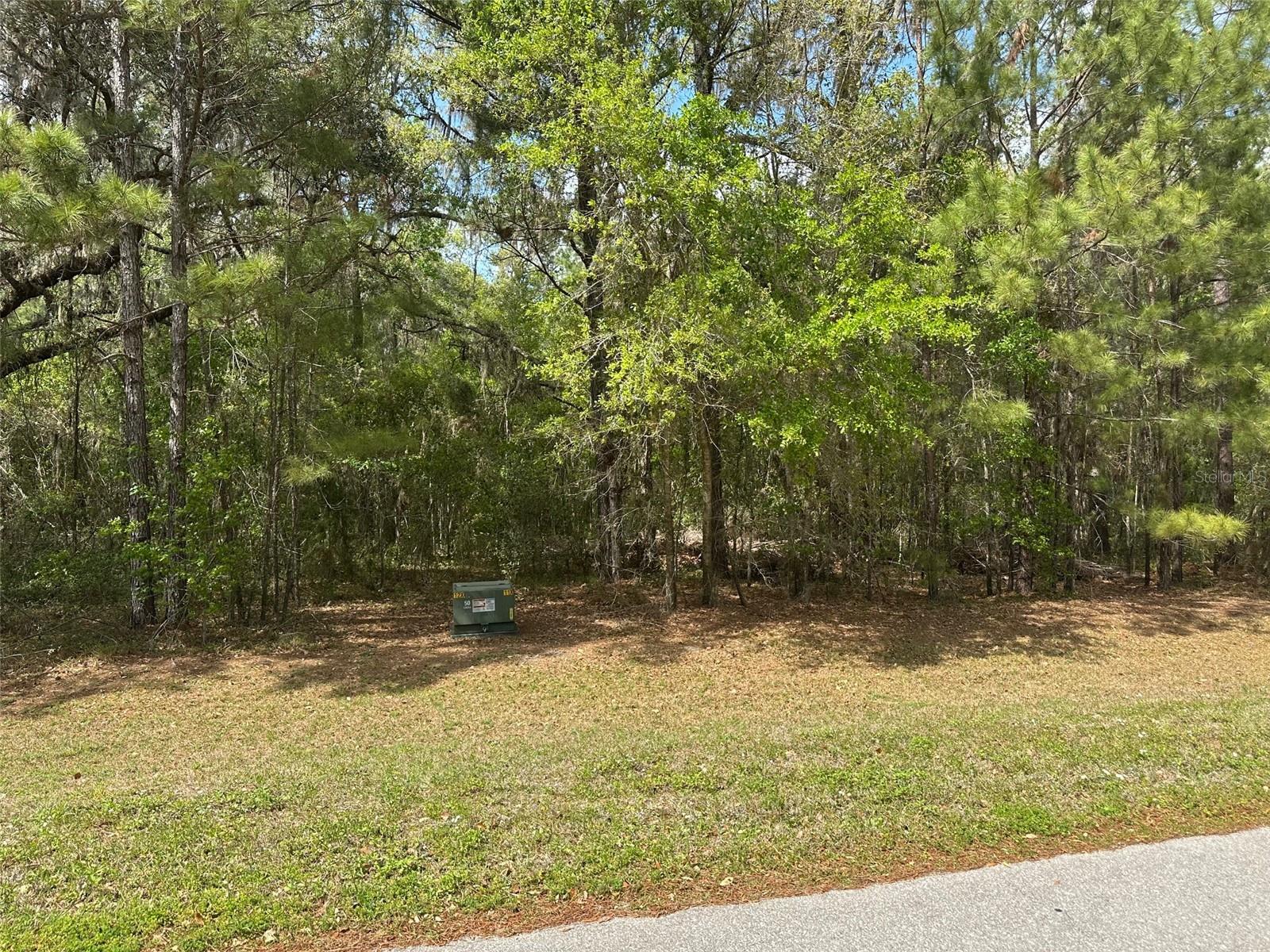 015 SW 144TH COURT ROAD, OCALA, FL, 34481